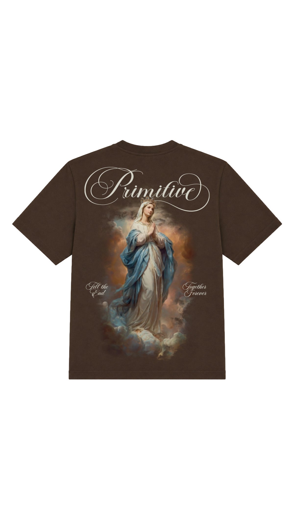 Primitive Veil HW T-Shirt (Brown)