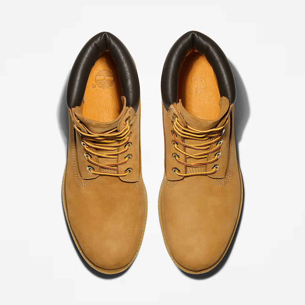 Timberland Premium 6-Inch Waterproof Boot (Wheat)