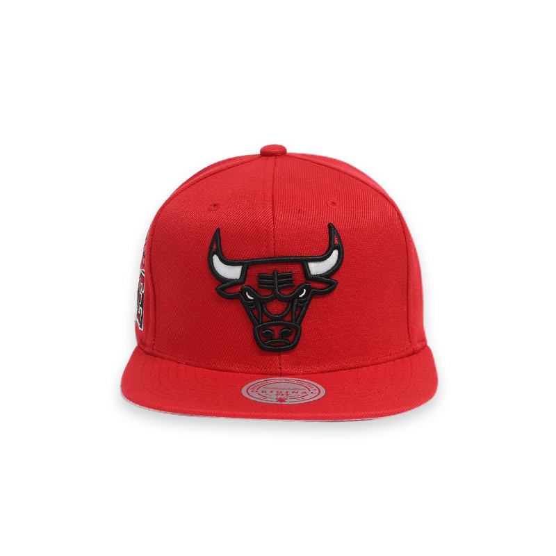 [6HSSSH21228-CBURED1] CHICAGO BULLS All Love Snapback