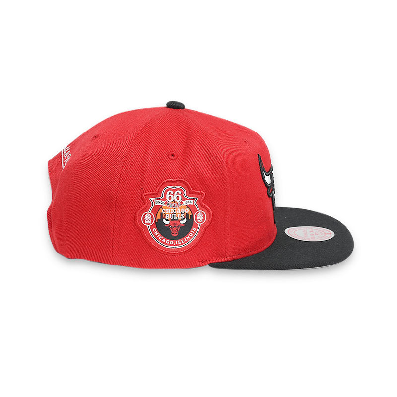 [6HSSFC20041-CBURDBK] Established Patch Snapback