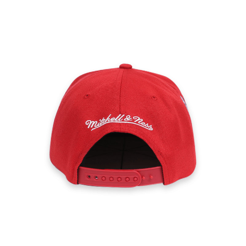 [6HSSSH21228-CBURED1] CHICAGO BULLS All Love Snapback