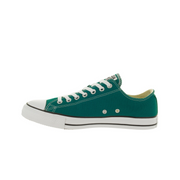 [151181F] Converse Chuck Taylor All-Star Low Shoes
